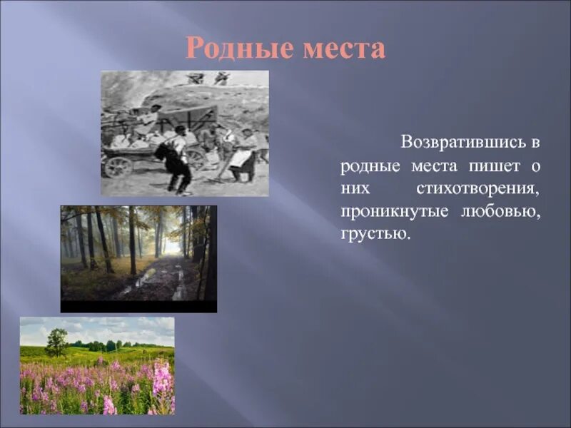 Родные места стихи. Стихотворение про родные места. Вернулась в родные края. Возвращаясь в родные места мне. Возвращение в родной край