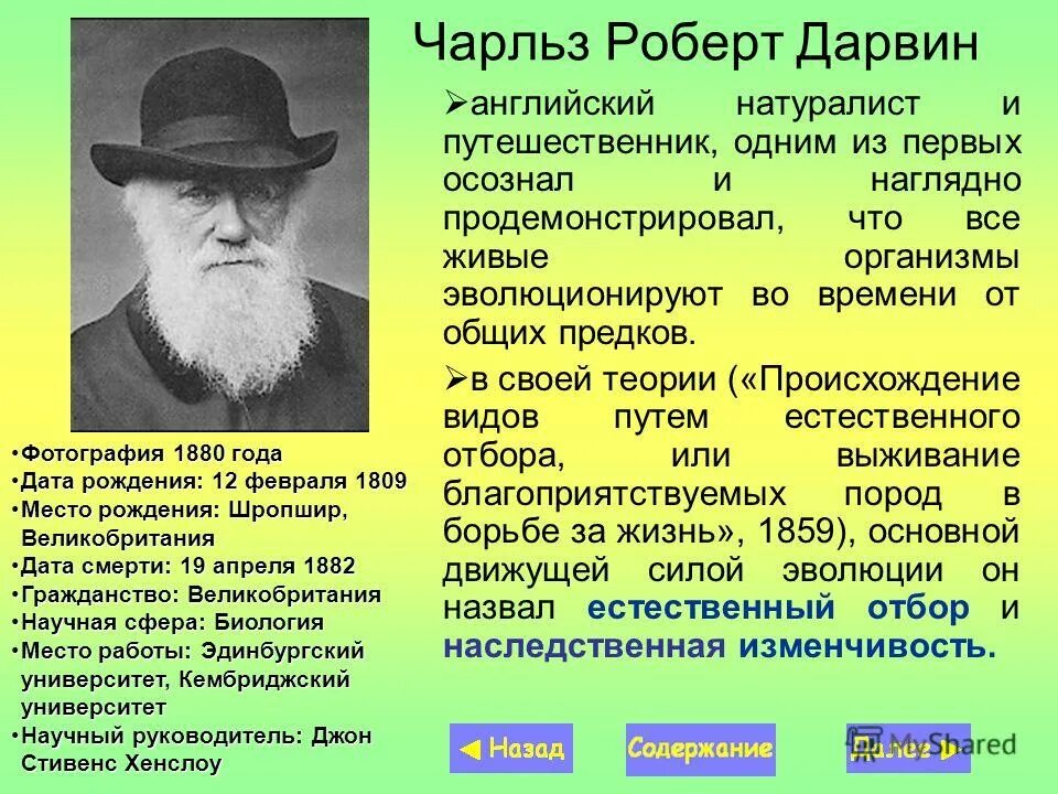 сообщение на тему чарльз дарвин по биологии. эволюционная теория чарльза дарвина. биография дарвина кратко. чарльз дарвин вклад в науку зоологию. чарлз дарвин открытие в биологии.