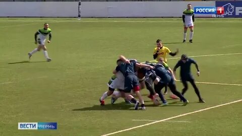 Чемпионат по регби высшая лига