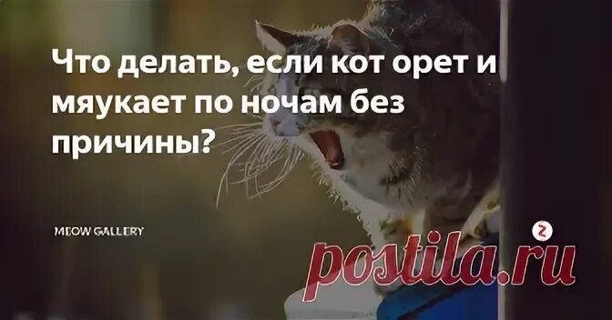 Почему мяукает