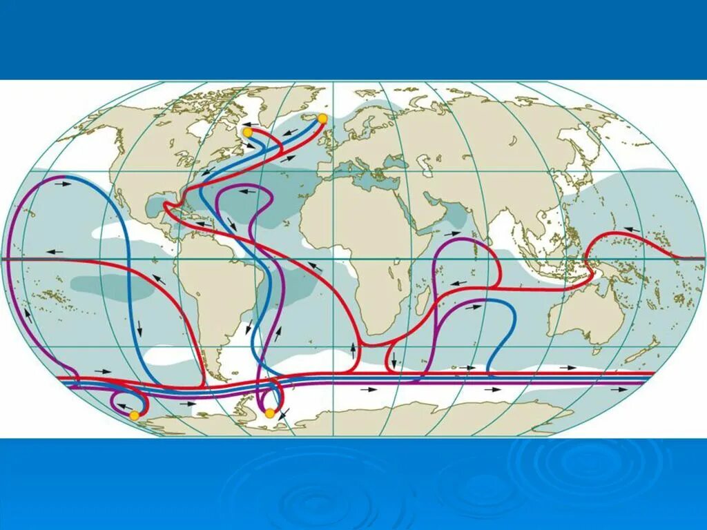 Какие течение воды. Течения мирового океана Гольфстрим. Глобальная циркуляция вод мирового океана. Течение мирового океана циркуляция вод. Циркуляция Гольфстрима.