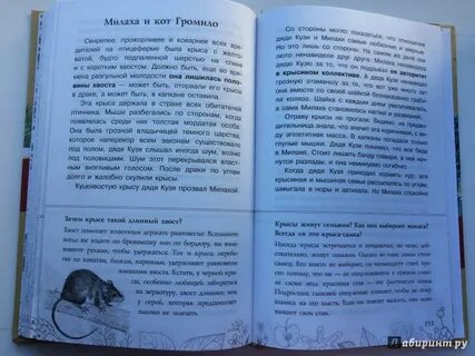 Рассказы милах