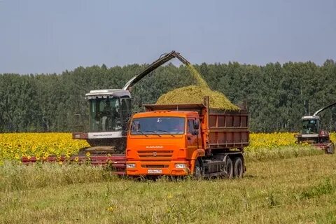 Полеводство екатеринбург
