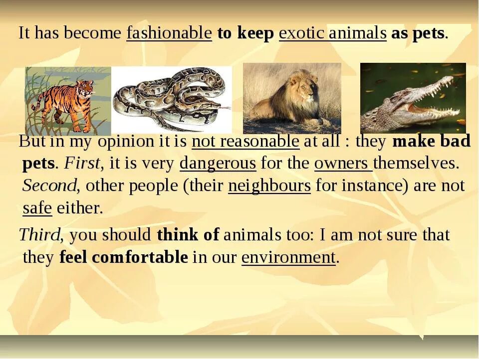 Pros and cons of keeping pets. Тема keeping Pets. Exotic Pets на английском. Тема по английскому keeping Pets. Why people keep Pets.