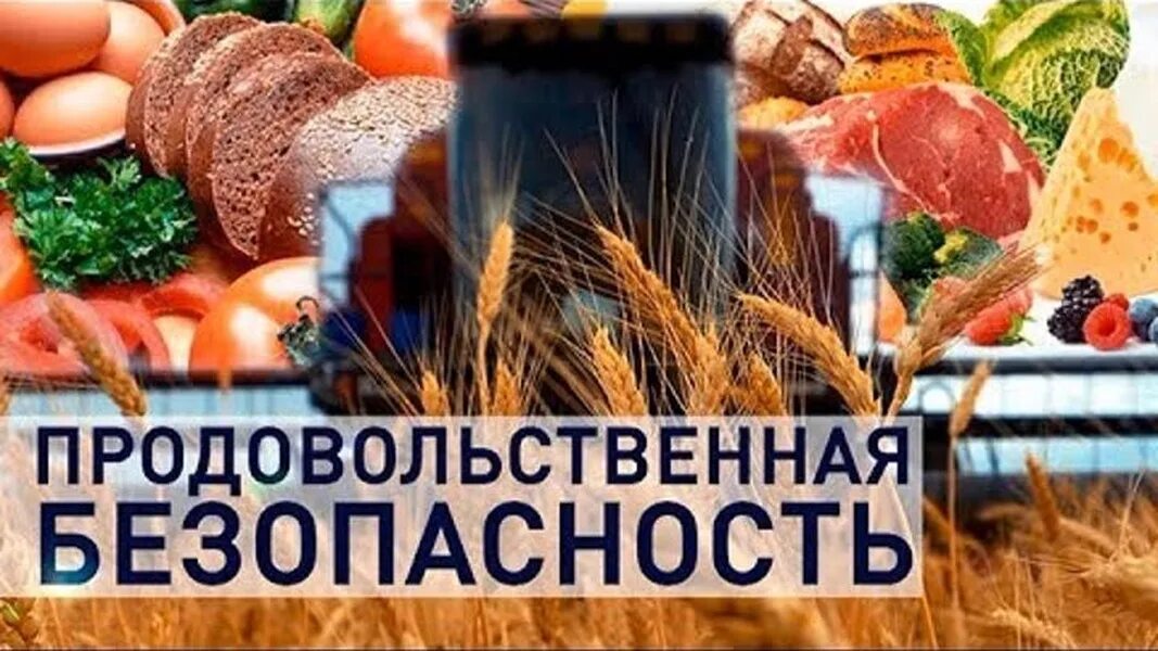 Продовольствие безопасность. Продовольственная безопасность. Продовольственная безопасность РФ. Национальная продовольственная безопасность. Обеспечение продовольственной безопасности.