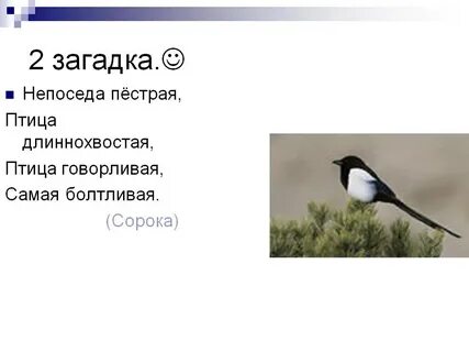 Сорока 2 класс