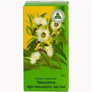 Эвкалипта прутовидного листья