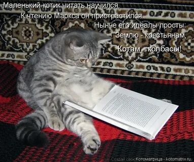 Вторник читать