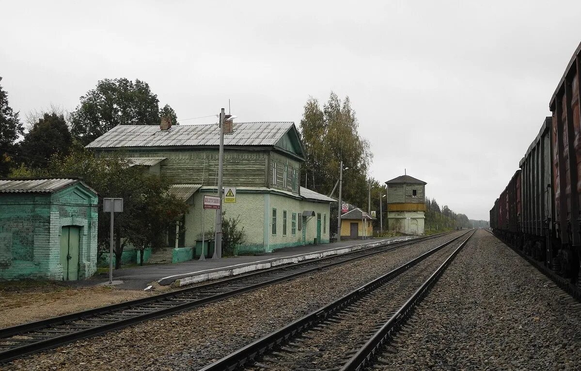 Станция Желтухино. Павелец Тульский станция. ЖД станция Ряжск. Станция Ряжск 2.