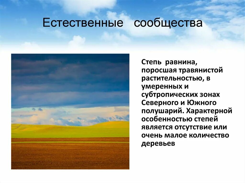 Описание искусственного сообщества поле. Естественные сообщества презентация. природные и искусственные сообщества презентация. признаки степи. искусственные сообщества в степи.