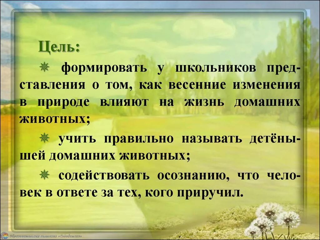 Весенние изменения животных. Весенние изменения в жизни животных. весенние изменения в жизни человека. весенние изменения в жизни животных и человека.