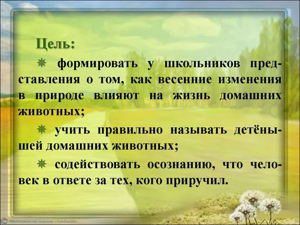 Изменения в жизни зверей весной. Весенние изменения в жизни животных. Весенние изменения в жизни человека. Весенние изменения в жизни животных и человека.