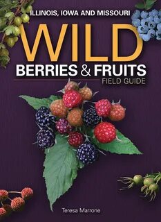 Wildberries переводчик