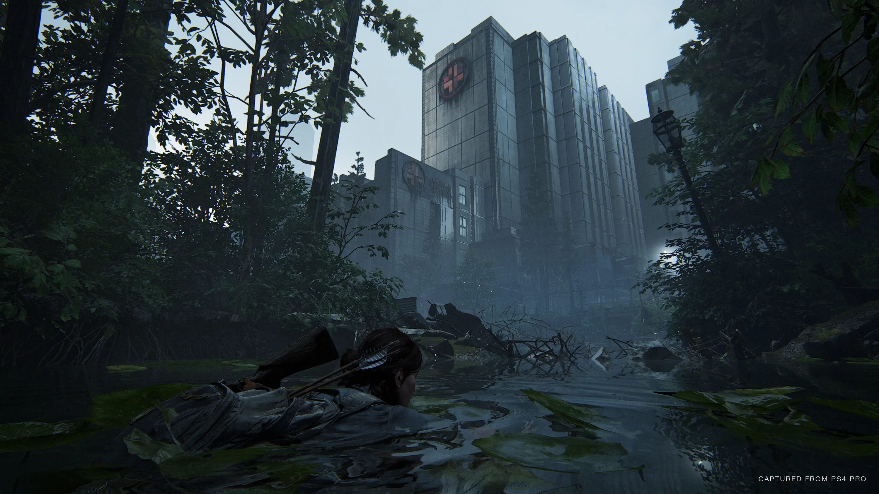 The last of up 2. Сиэтл the last of us 2.