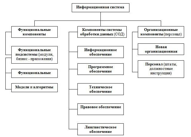 Функциональные компоненты информационных систем. Структура информационной системы. классификация компьютерных информационных систем реферат. состав основных компонентов ис ( виды обеспечения). такое «организационные подсистемы», что к ним относится? в компьютере.