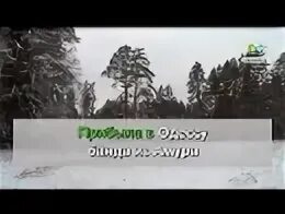 Мурка караоке
