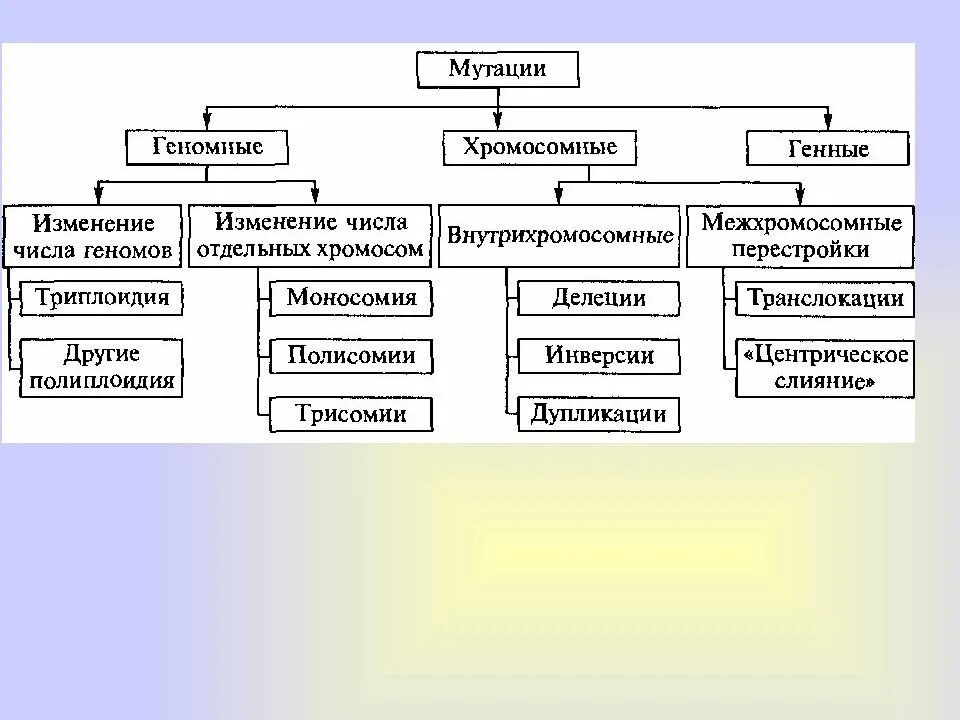 Классификация видов изменчивости. Изменчивость схема биология. Классификация форм изменчивости. Схема классификации видов изменчивости. Как вы описали характер изменчивости величины пульс