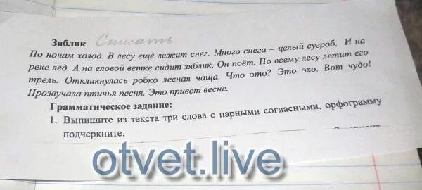 Диктант зяблик 2 класс. Диктант Зяблик. Ответы на задания к диктанту Зяблик. Русский язык диктант Зяблик. Диктант 2 класс по русскому Зяблик.