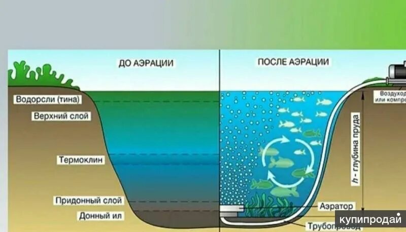 Насыщение воды воздухом. Вихревой аэратор для пруда. Аэрация водоема. Аэрация воды в пруду. Аэратор для кислорода для пруда.