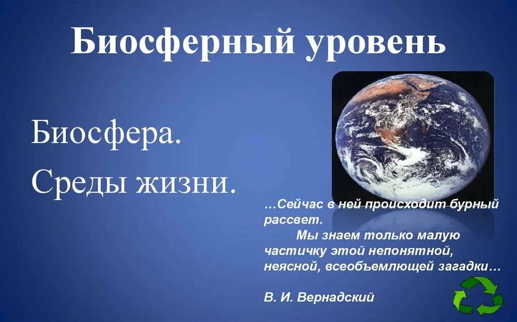 Биосферный уровень. Биосферный уровень жизни. Биосферный уровень уровень. Биосферный уровень организации.