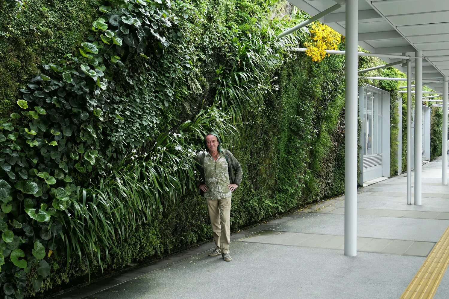 Патрик бланк. Vertical garden patrick blanc. вертикальный сад патрика блана в париже. патрик блан фитостена. патрик бланк фитостена.