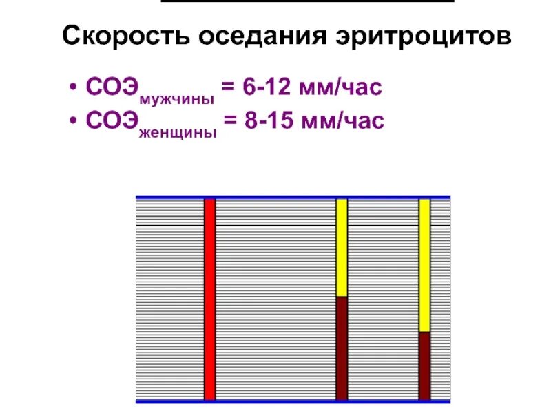 Без соэ. Скорость оседания эритроцитов 2 мм/час. Скорость оседания эритроцитов мм в час. Механизм СОЭ В норме. Скорость оседания эритроц.