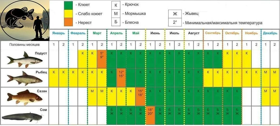 Рыболовный календарь. Календарь рыбалки. Календарь лова рыбы. Календарь клева карася. Прогноз клева белая