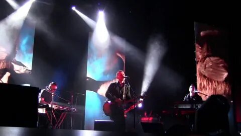 Январи live