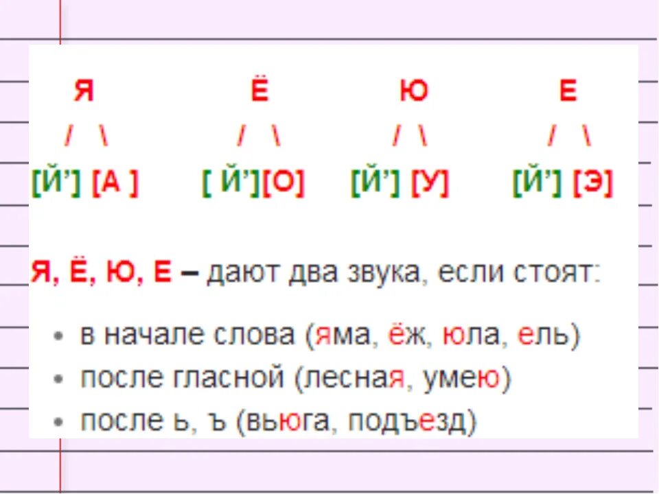 Мальчик количество звуков. Как посчитать буквы и звуки. Как посчитать звуки в слове. Правило сколько букв и звуков в словах. Как считать звуки в словах.