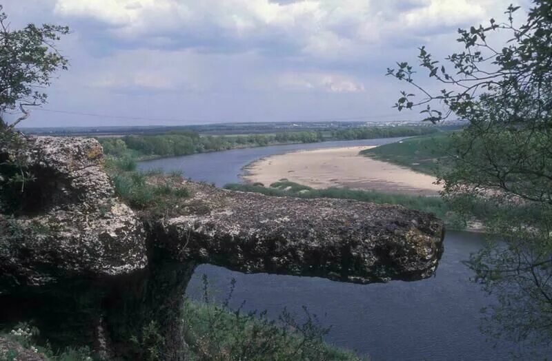 Галичья гора заповедник растения. Заповедник галичья гора воргольские скалы. Заповедник воргольские скалы. Галичья гора заповедник. Галичья гора фото пляж.