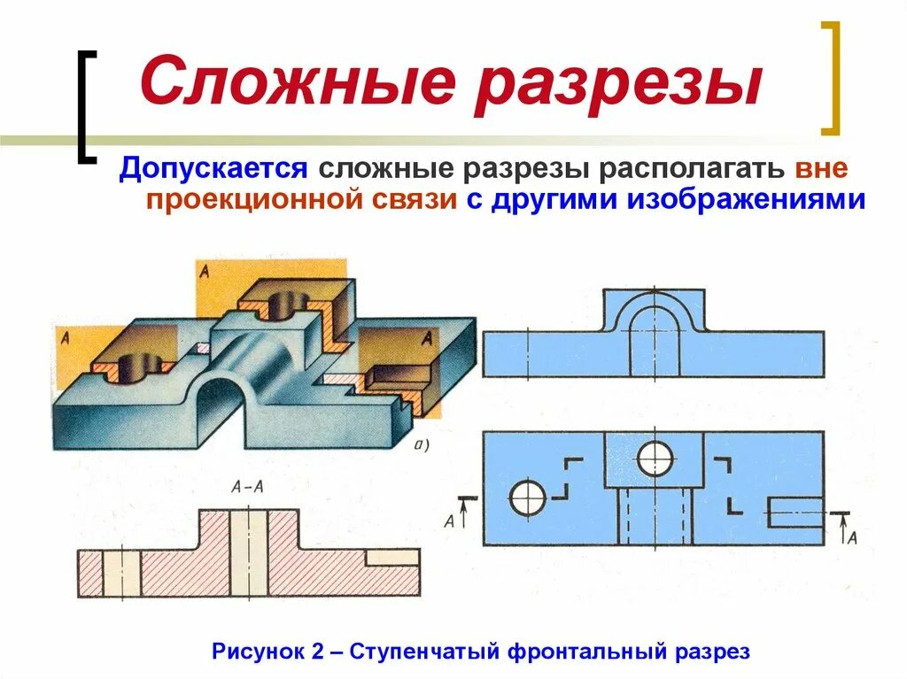 Основные разрезы