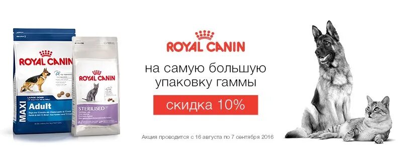 Роял канин скидка 15% баннер. Скидка 15% на роял канин. Роял канин баннер. Роял канин баннер. Роял канин упаковка.