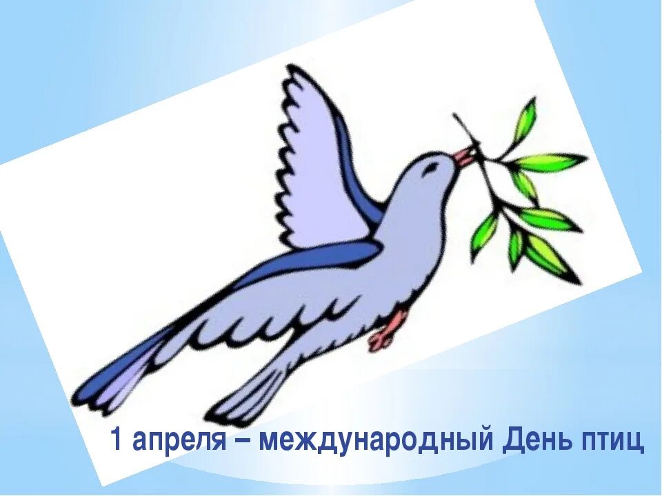 Когда день птиц в 2024 году. Всемирный день птиц. День птиц картинки. 1 Апреля Международный день птиц. Всемирный день птиц рисунок.