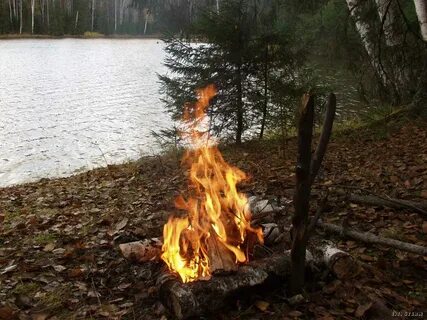 Костры на берегу не разжигать