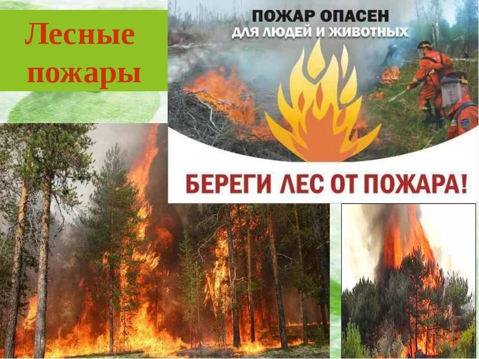 Лесной пожар задачи