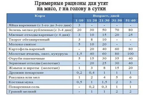Можно ли уткам горох