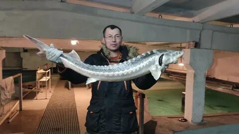 Порно ххх тұншығып қалады, бірақ сорғыш