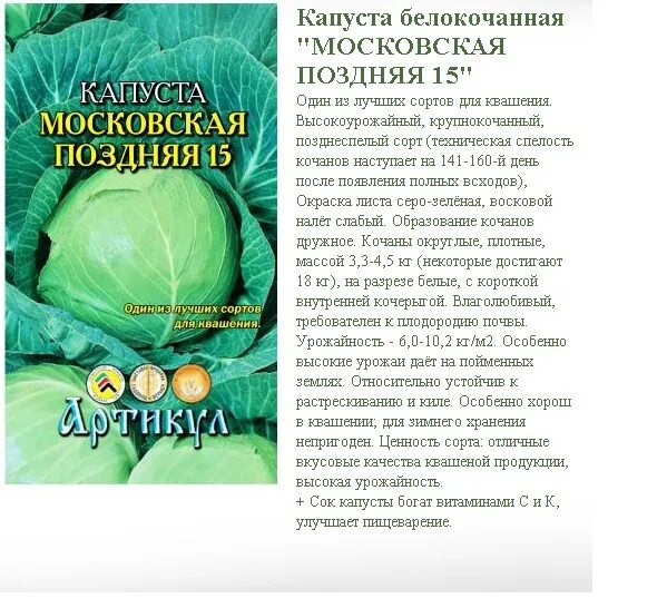 Капуста московская описание сорта отзывы. Поздние сорта капусты для длительного хранения белокочанной капусты. Харьковская поздняя капуста описание сорта. Лучшие сорта поздней капусты для хранения на зиму. Капуста белокочанная поздняя лучшие сорта.