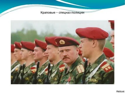 Внутренние войска какие войска входят