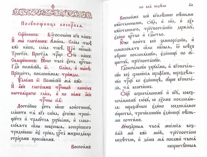 Час третий на церковно славянском. Часослов на церковнославянском языке с ударениями. Часослов на церковнославянском языке гражданским шрифтом. Часослов текст. Час третий часослов на церковно Славянском.