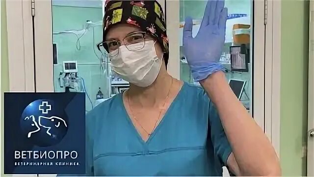 Ветбиопро икша. Ветбиопро. Ветбиопро икша. Ветбиопро. Петроклиника.