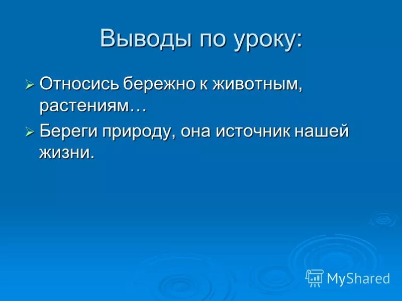 цитаты о домашних животных для детей. дети забота о животных. бережное отношение к животным. для детей. бережное отношение к животным.