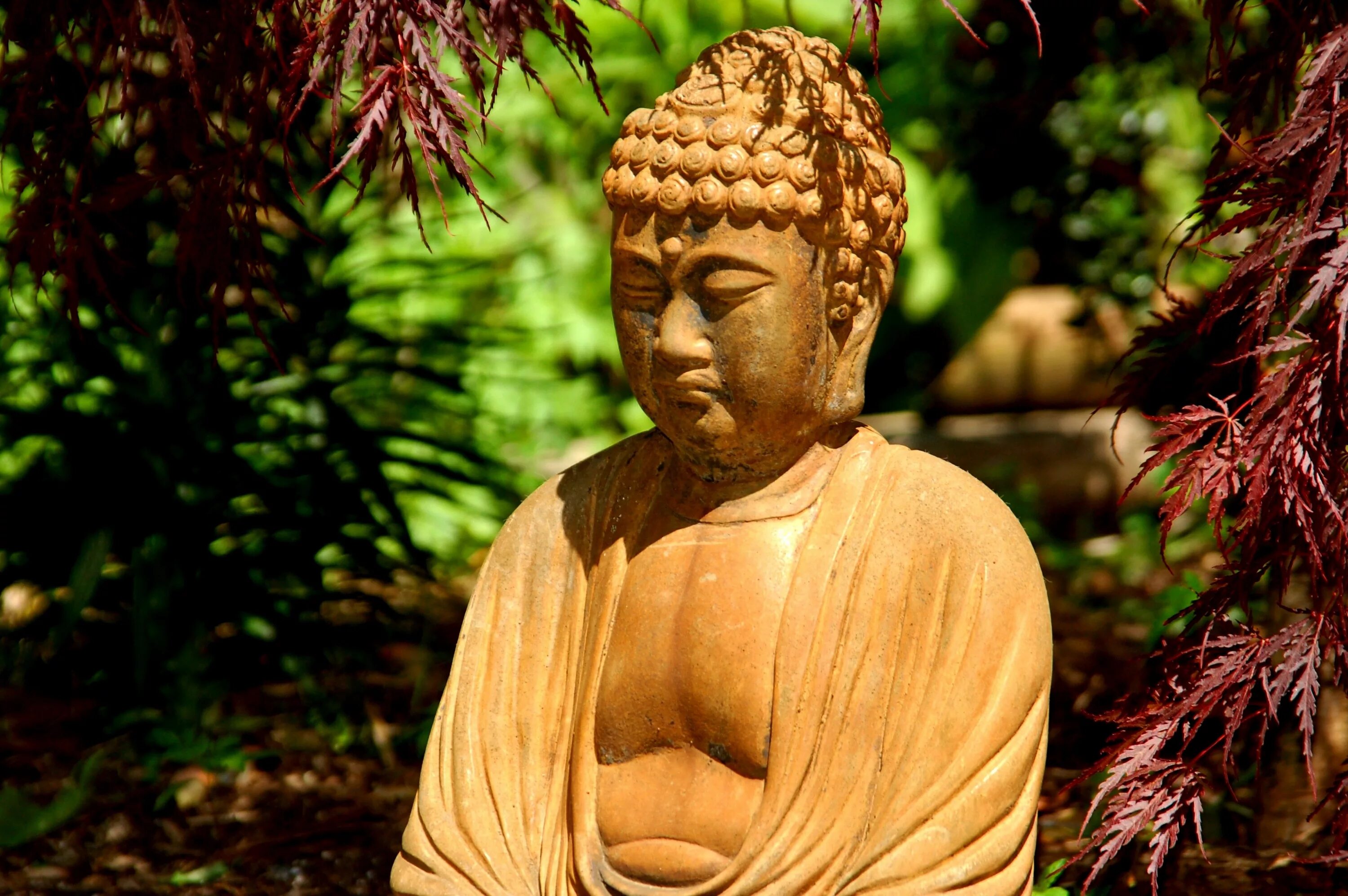 Фото будды. Будда Гаутама Япония. Гаутама Будда фото. Буддизм дзэн буддизм. Дзен буддизм Махаяны.