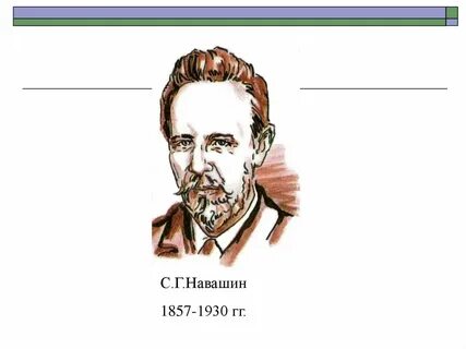 Жизнь и научная деятельность с г навашина