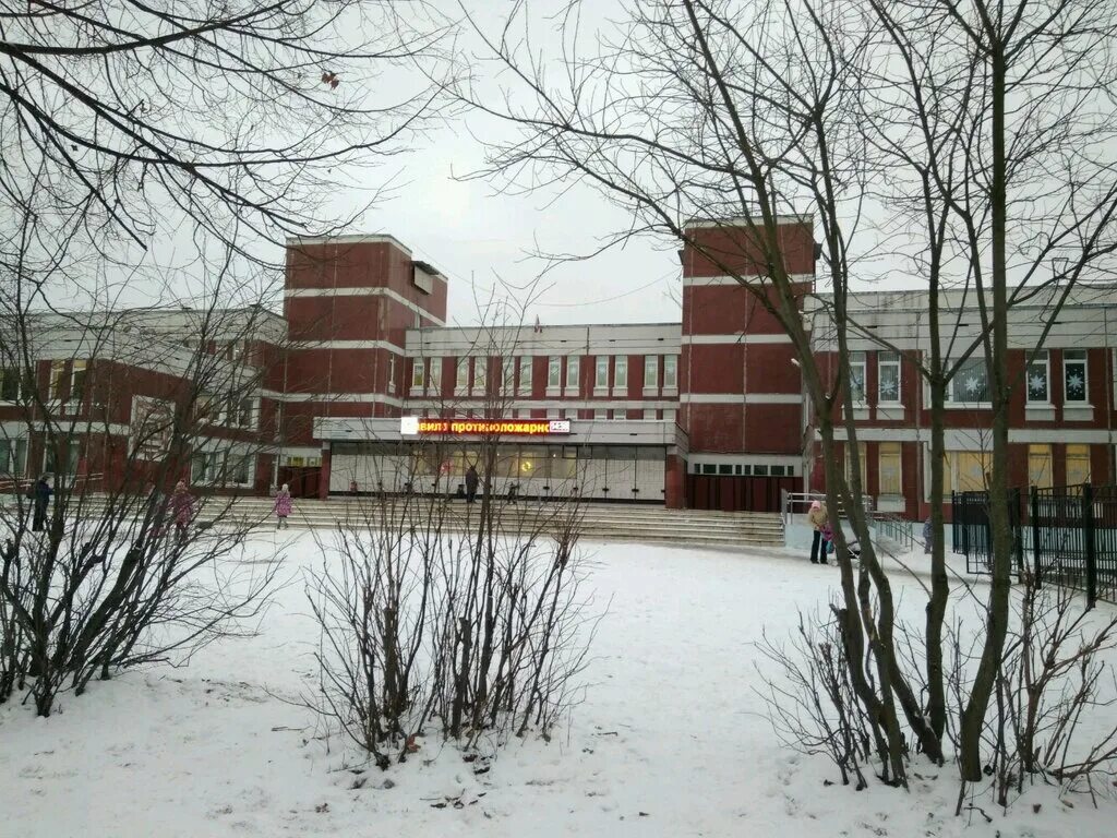 Добровольцев 60 корпус 2. 399 гимназия красносельского. 399 гимназия красносельского. 399 гимназия красносельского. 399 гимназия спб.