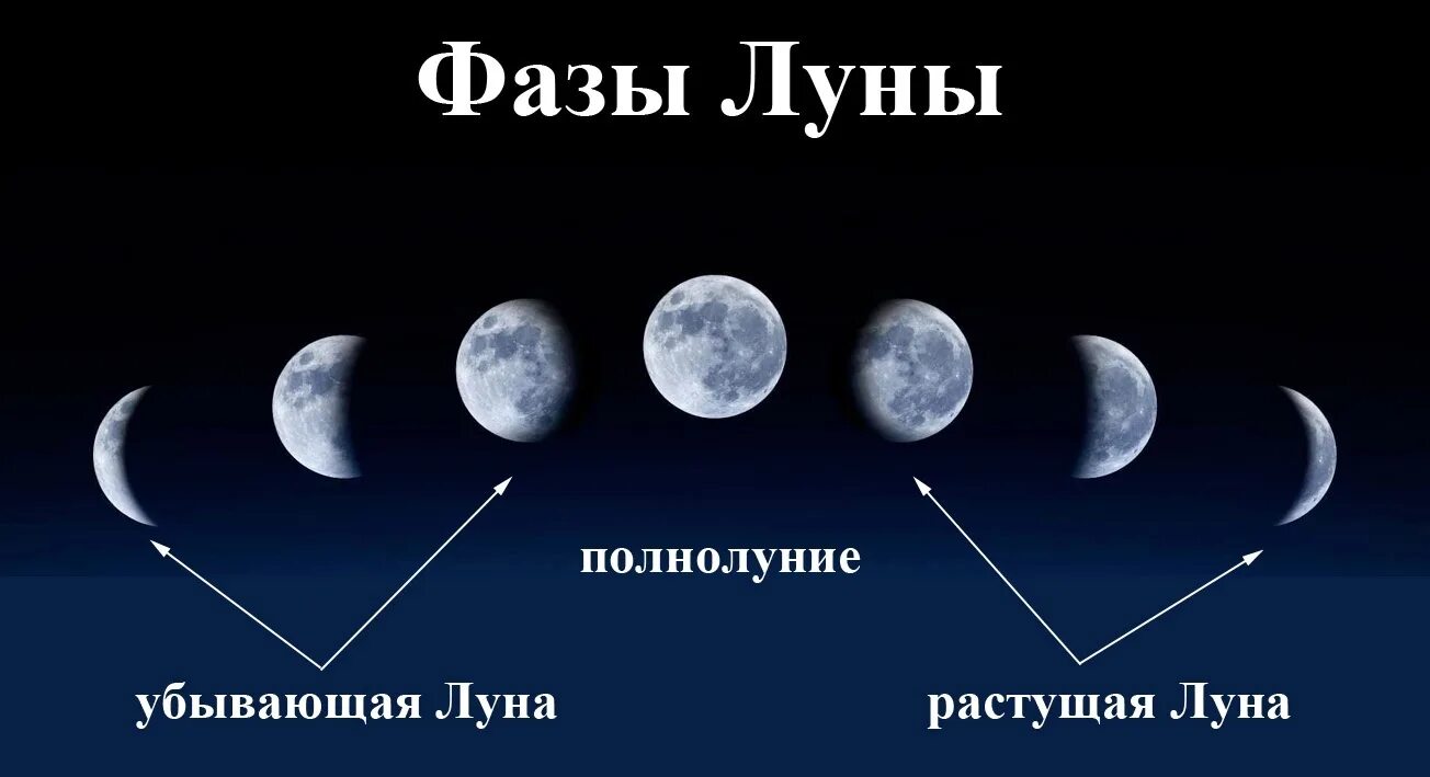 Луна в декабре 2025 фазы луны. Луна фазы убывающая. фазы луны новолуние. 4 фазы луны. стадии убывания луны.
