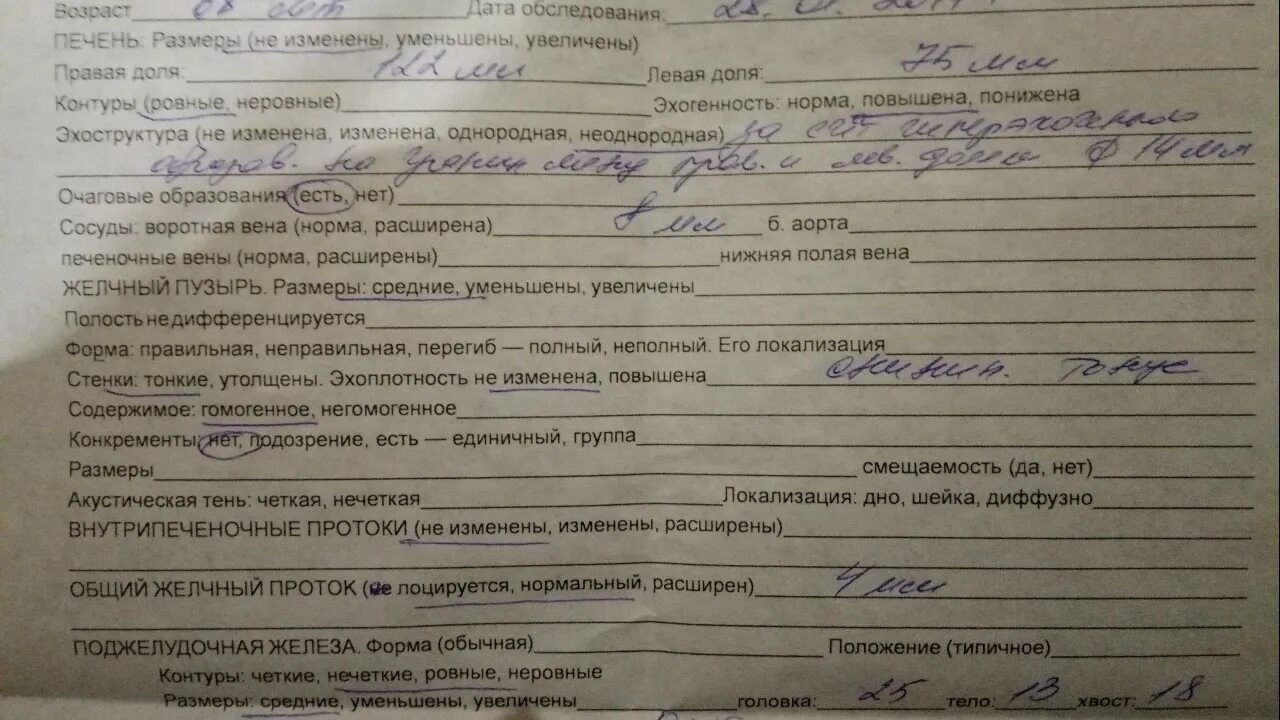 В норме показатели УЗИ поджелудочной железы. УЗИ поджелудочной железы у детей норма. Поджелудочная железа норма по УЗИ У женщин. Нормальные Размеры поджелудочной железы.