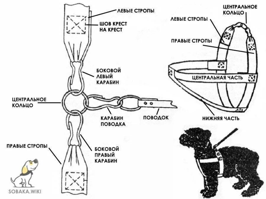 Поводок шлейка для собак своими руками выкройки. Шлейка для собаки своими руками выкройка. Шлейка для собак мелких пород выкройка. Схема пошива шлейки для собаки. Собак своими руками рецепт