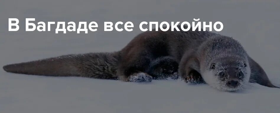 Где можно спокойно