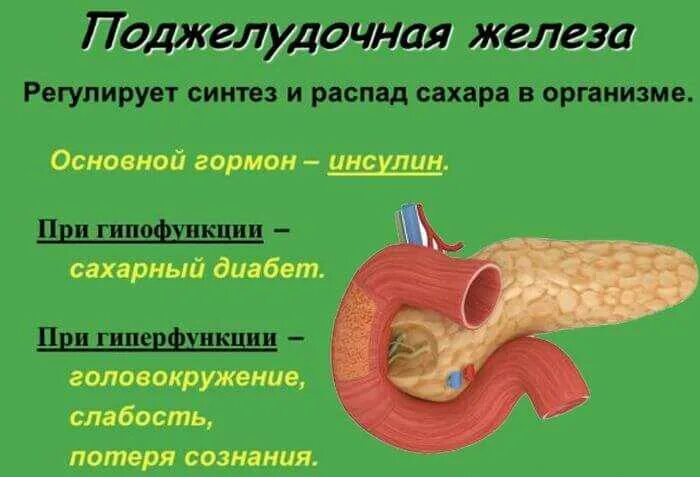 Как вылечить поджелудочную железу